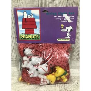 Peanuts Snoopy Woodstock Party Set 10 String Light Set Indoor New String Light